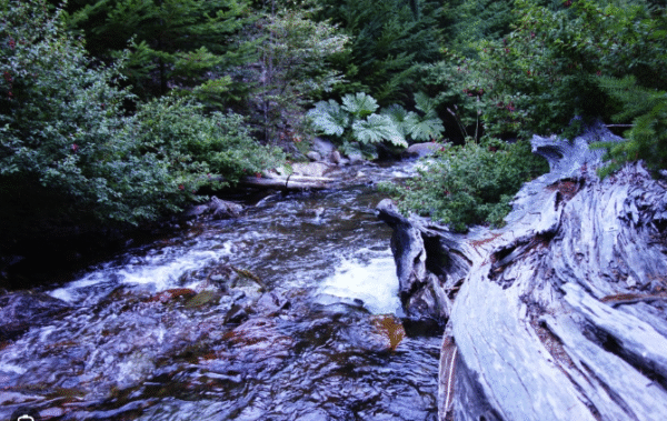 Sendero El Raleo - Tres arroyos