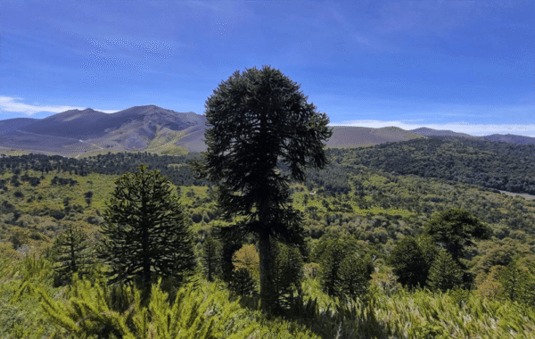Sendero Sierra del Colorado